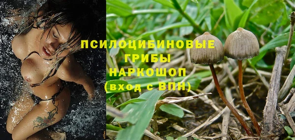 гидра Баксан