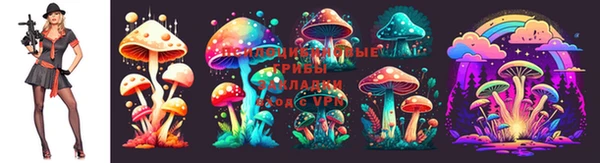 дурь Балабаново
