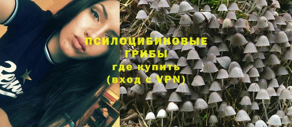 гидра Баксан
