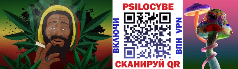 Псилоцибиновые грибы Psilocybe  где купить наркоту  Кохма 